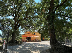 Villa Ustoma